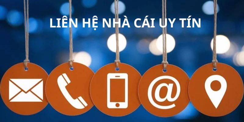 liên hệ Tầm quan trọng của việc liên hệ trong trải nghiệm người chơi