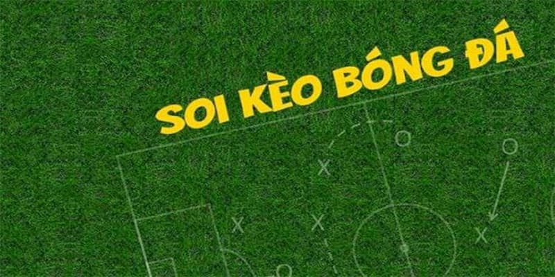 Soi kèo nhà cái Bản chất của tỷ lệ cược