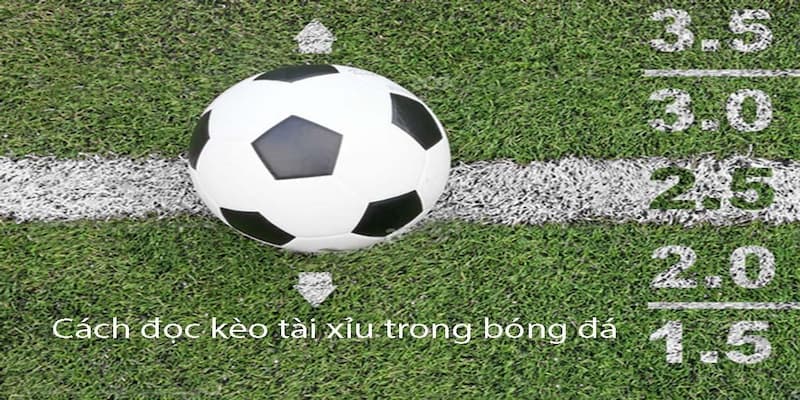 Kèo tài xỉu Nguồn gốc và cách vận hành